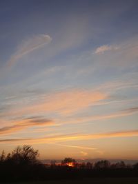 Silhouette trees on field against sky at sunset
