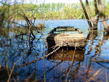 View of river with trees in background