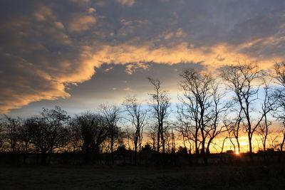 Silhouette bare trees against sky during sunset