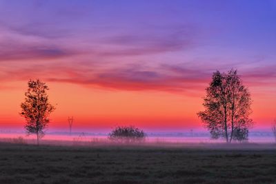 Silhouette trees on field against sky during sunset