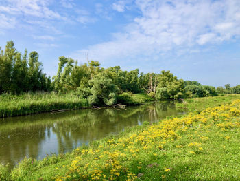 Scenic view of lake by trees against sky