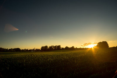 Scenic view of field against sky at sunset