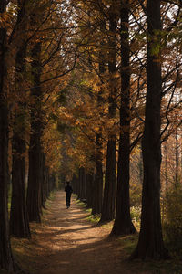 Man walking in forest during autumn