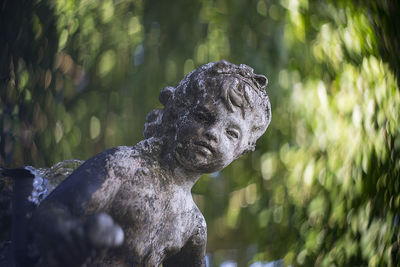 Close-up of statue against blurred background