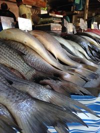 Close-up of food for sale