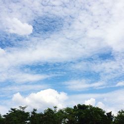 Low angle view of trees against cloudy sky