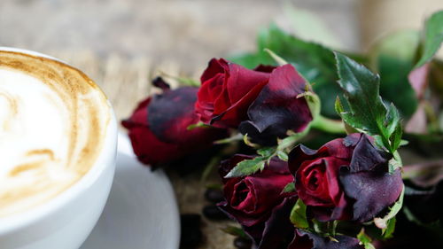 Close-up of coffee cup