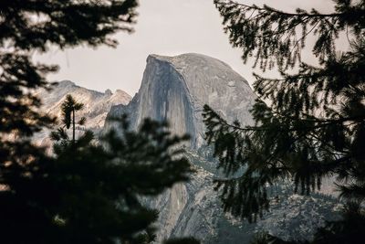 Low angle view of trees and mountains against sky