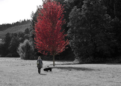 People sitting at park during autumn against sky