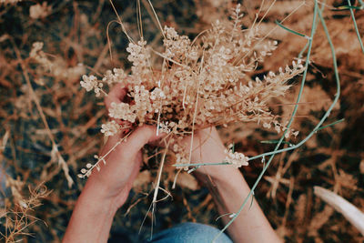 Close-up of hand holding plant