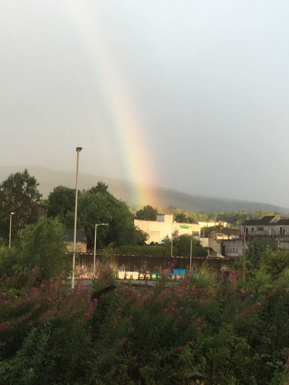 rainbow, tree, building exterior, built structure, architecture, multi colored, high angle view, street light, house, clear sky, scenics, sky, plant, beauty in nature, mountain, day, tranquil scene, outdoors, nature, tranquility, town, no people, residential district