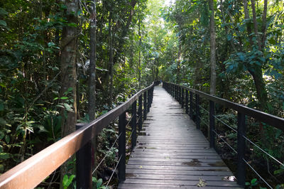 Footbridge amidst trees in forest