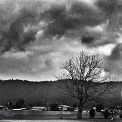 Bare trees on landscape against cloudy sky