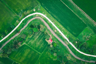 High angle view of agricultural field