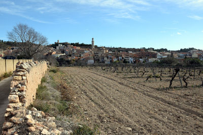 View of agricultural field against sky