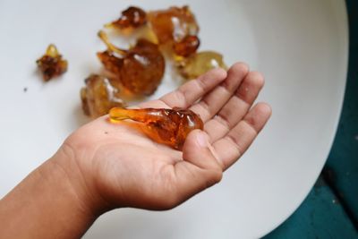 Close-up of hand holding food