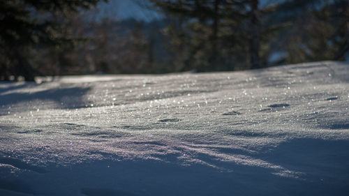 Surface level of frozen water on land