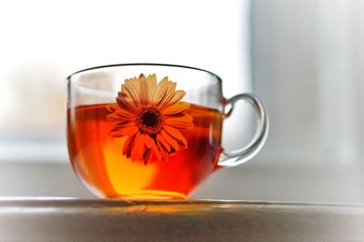 Close-up of tea cup on table