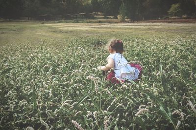 Rear view of girl sitting on field with flowering plants