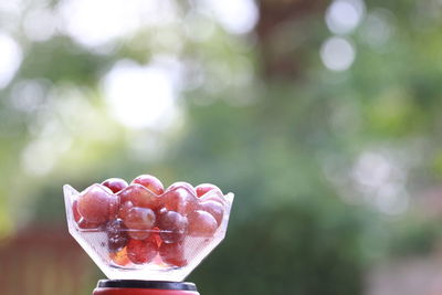 Close-up of ice cream against blurred background