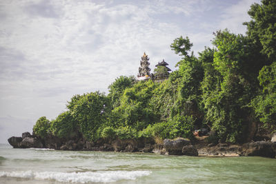 Trees and rocks by sea against sky