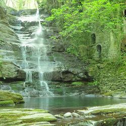 Waterfall in forest