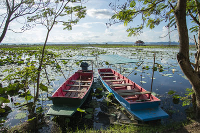 Boats moored in sea