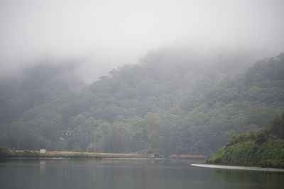 Scenic view of lake in forest against sky