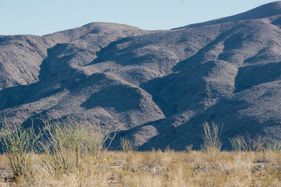 Close-up of landscape against clear sky