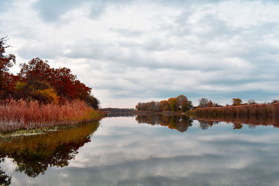 reflection