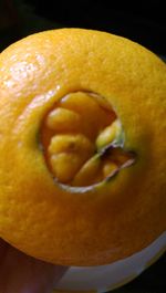 Close-up of food