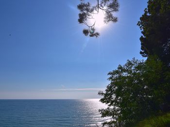 Low angle view of tree and sea against sky