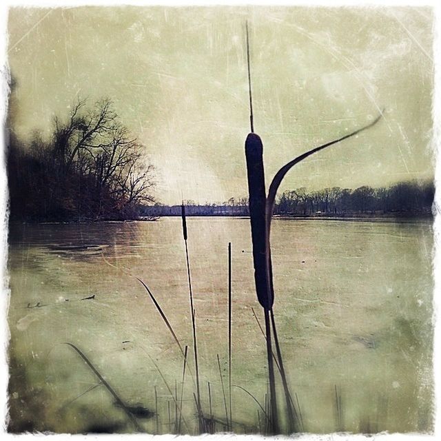 transfer print, auto post production filter, water, lake, tranquility, sky, tranquil scene, nature, reflection, outdoors, pole, day, scenics, river, beauty in nature, no people, dusk, wooden post, tree, wood - material