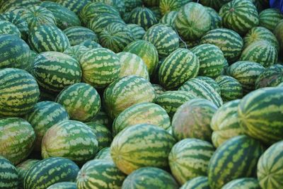 Full frame shot of watermelons for sale in market stall