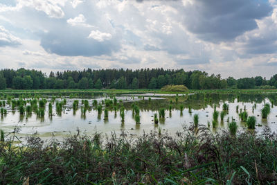 Scenic view of lake against sky