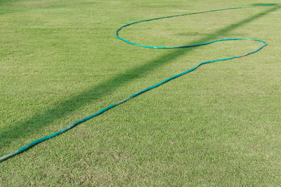 High angle view of grass growing in field