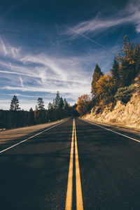 Empty road along trees