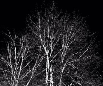 night