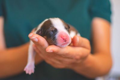 Close-up of human hand with dog