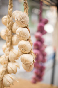 Close-up of electric lamp hanging at market