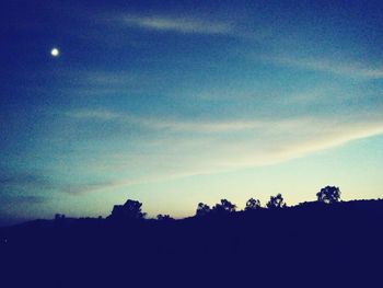 Silhouette trees against sky