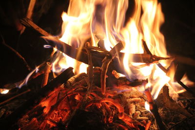 Close-up of fire burning at night