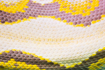 Full frame shot of python skin