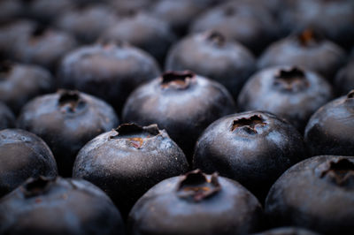 Ripe sweet blueberries. fresh blueberries background. vegan and vegetarian concept. macrotexture of
