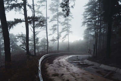 Road amidst trees in forest against sky