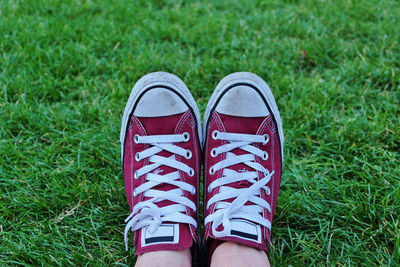 Low section view of person wearing canvas shoes on grassy field