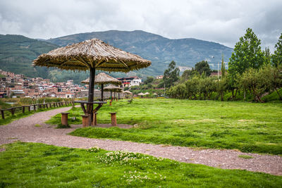 Umbrella near grass and city background