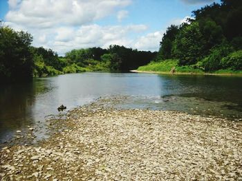 Scenic view of stream by trees against sky