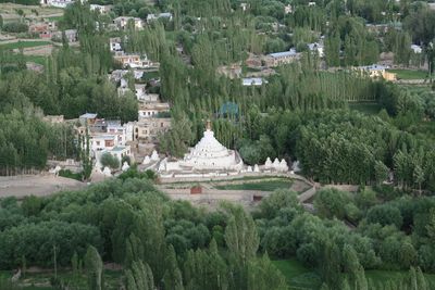 High angle view of trees and buildings