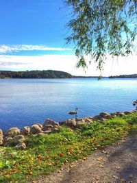 Scenic view of lake against blue sky